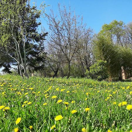 Chambre Soignee Et Accueillante A La Campagne - Ch. Jaune L'Honor-de-Cos Exteriér fotografie