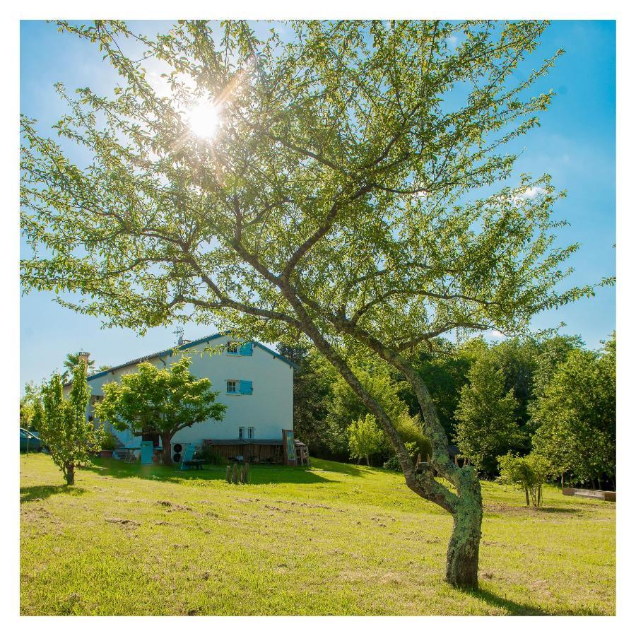 Chambre Soignee Et Accueillante A La Campagne - Ch. Jaune L'Honor-de-Cos Exteriér fotografie